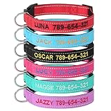 Personalisierbares Hundehalsband, weiches Neopren, gepolstert, reflektierend, Nylon,...