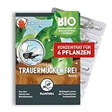 Plantura Bio-Trauermückenfrei Neem, hochwirksames Gießmittel gegen...