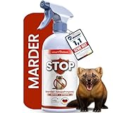 KRAFTKÖNIG PREMIUM Marderspray - Sofort + Effektiv Formel - 500ML Marderabwehr Auto &...