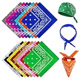 RISF 15 Stück Bandanas, 15 Farben Bandana Damen Herren, Polyester Paisley Bandana, 54 x...