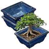 Oairse 2er-Set Bonsai Keramiktopf Bonsaischale mit Entwässerungslöchern für...