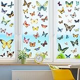 Fensterbilder