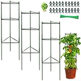 3 Stück Tomaten Rankhilfe, Pflanzenhalter, Rankhilfe Pflanzen, Robuste...