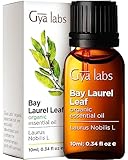 Gya Labs Bio Lorbeer ätherisches Öl für Diffusor - 100% rein und nautral Lorbeeröl Bio...