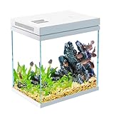 10L Fischtank Nano Glas Wassermann Set mit Licht und Filter System, Aquarium, wasserdichte...