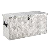 Arebos Aluminium Werkzeugbox mit Schloss | Deichselbox | 40 Liter | 60 x 25 x 30...