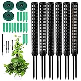 RURIZHONGTIAN Monstera Rankhilfe,Moosstab ,6pcs Pflanzstab , Zimmerpflanzen...