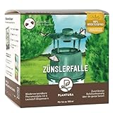 Plantura Zünslerfalle, insektizidfreie Pheromonfalle für Buchsbaumzünsler,...