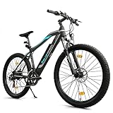 BLUEWHEEL E-Bike I Elektrofahrrad Pedelec für Herren I StVZO I Deutsche...