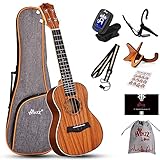 Winzz Ukulele Konzert für Erwachsene und Kinder - 23 Zoll Anfänger Set Mit Ständer und...