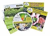 GARTENleben Mischkulturscheibe, Pflanzenschutzscheibe, Heckenscheibe, Gemüsescheibe, Das...