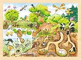 goki 57582 - Einlegepuzzle Erlebnis Natur aus Holz, Holzpuzzle mit vielen Tieren,...