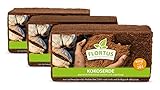 FLORTUS Kokos Anzuchterde | Kokoserde gepresst & ungedüngt | 10L | Kokos...