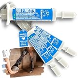 MSM Pferd Weidenrinde Pferd - Equi P Booster - Vitamin-Paste Plus Glucosamin Chondroitin...