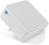 BLAUPUNKT PMR 100 Chromecast Build-In, Schnurloser Multiroom Lautsprecher mit WLAN...