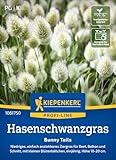 Kiepenkerl Profi-Line Hasenschwanzgrassamen Bunny Tails 1061750 - Fluffiges und niedriges...