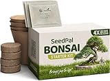 SeedPal Bonsai Set - Bonsai Starter Kit - Bonsai Anzuchtset 4 versch. Bonsai Baum Samen -...