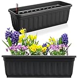 Hausfelder Blumenkasten 2er Set mit Wasserspeicher und Wasserstandsanzeige, Pflanzkasten...