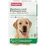 beaphar Zecken- & Flohschutz Halsband Hund | Schutz vor Zecken Flöhen | Wirkt 4 Monate |...