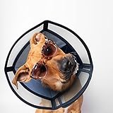 SimpArt -Comfy Halskrause Hund für Haustiere für Genesung nach Operationen...