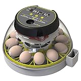 KEBONNIXS 12 Eier Inkubator mit Luftfeuchtigkeitsanzeige, Eierkerze,...