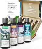 Fjorland Saunaaufguss Set BIO 4 x 100 ml Saunadüfte Geschenkset - Ätherische...