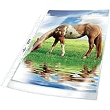 Durable Prospekthüllen (Klarsichthüllen A4 Premium extra stark, 0,08mm) 100 Stück,...