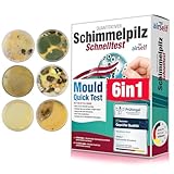 Schimmeltest für zu Hause - Schimmelpilz Test für bis zu 6 Räume - Schimmelpilz...