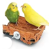 Korksitzbrett 10x10 cm mit Edelstahl Halterung für den Vogelkäfig | Sitzbrett...