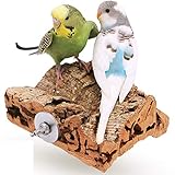 Vogelgaleria Korksitzbrett 10x10cm für Wellensittich, Nymphensittich zum Knabbern und...