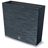 Prosperplast Blumenkasten mit Einsatz | aus robustem Kunststoff | Anthrazit | wetterfest...