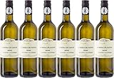 Schott Gewürztraminer 2022 Feinherb (6 x 0.75 l)