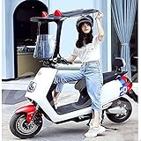 DONGSHUAI Elektrisches Batterie-Auto Dach, Motorrad Elektro-Auto-Windschutzscheibe...