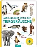 Mein großes Buch der Tiergeräusche: Mit 50 Sounds | Hochwertiges Soundbuch mit...