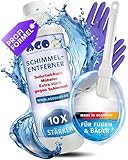 AGO 500ml Schimmelentferner mit Pinsel & Handschuhen – stärker als...