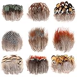 MWOOT Basteln Federn, 180er-Set Braun Grün Weiß Gelb Hahnenfedern, Deko DIY Bastelfedern...