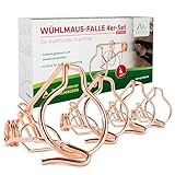 GARDIGO® Wühlmausfalle 4er Set Bayrische Form aus Kupfer I 5,5 x 8 x 15,5 cm I...