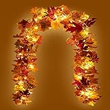 KASZOO 2 Stück Ahornblätter Herbstgirlande mit 40 LED-Licht,176cm/Stück Herbstblätter...
