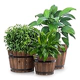 blumfeldt Trifloris Holzeimer-Set - Blumenkübel, Pflanztöpfe, 3 Holzbottiche...