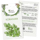 Koriander Samen : Koriander Saatgut für ca. 100 Kräuter Pflanzen – Kräuter...