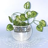 Qiumyanlod Discokugel Blumentopf,Discokugel Vase,Disco Pflanztöpfe,Silber Glas...
