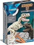 Clementoni Galileo Discovery – Ausgrabungs-Set T-Rex, Ausgraben von...