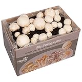 Hawlik Pilzbrut - das Original - weiße Champignon Pilzzuchtset – Pilze selbst...
