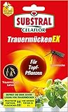 Substral Celaflor TrauermückenEX - Gegen Larven der Trauermücke und andere...