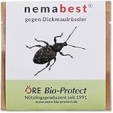 nemabest® HB Nematoden zur Bekämpfung des Dickmaulrüsslers - gegen Insekten,...