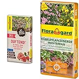 Floragard Bio-Erde Duftend 1x40 Liter - für Rosen, Balkonpflanzen & Kübelpflanzenerde...