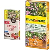 Floragard Bio-Erde Duftend 1x40 Liter - für Rosen, Balkonpflanzen & Kübelpflanzenerde...