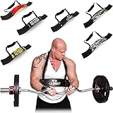 C.P. Sports Arm Blaster Bizeps für Bodybuilding, Kraftsport & Gewichtheben -...