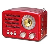 PRUNUS J-160 AM/FM/SW Retro Radio mit Bluetooth, Nostalgie Radio Klein mit...