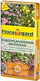 Floragard Kübelpflanzenerde mediterran 40 L - Spezialerde für große Kübel,...